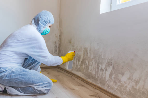 Commercial Mold Remediation assessment for commercial property in La Jose